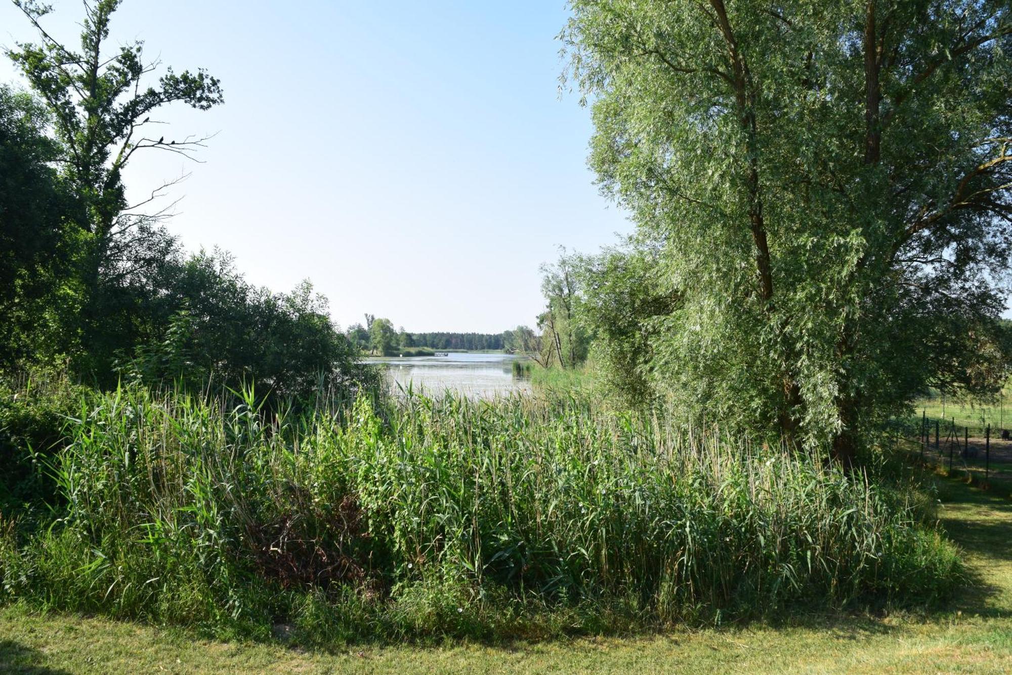 Land-Gut-Hotel Seeblick Klietz Extérieur photo